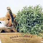 Bed & Breakfast Salecce Lecce