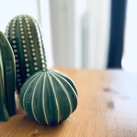 Bed and Breakfast Salecce