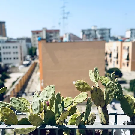 Salecce לינה וארוחת בוקר