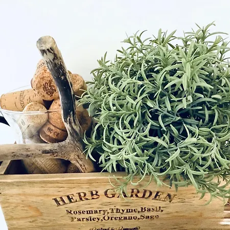 Bed & Breakfast Salecce Lecce